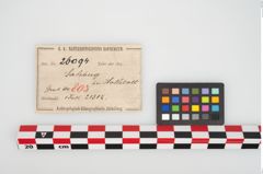 Etikett zu Eisenärmchenbeil (NHMW-PRAE-026094)